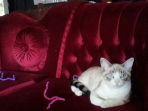 10150790_10202430171729091_7853686162895855314_n