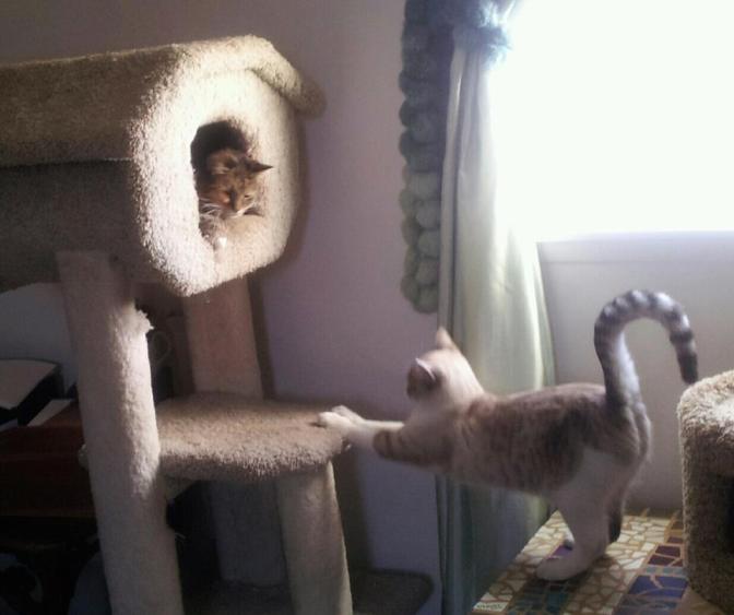 Your Highness, I bow before thee.