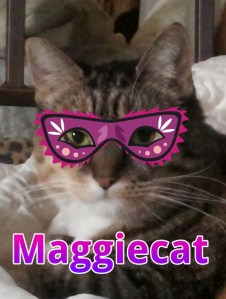 maggiecat