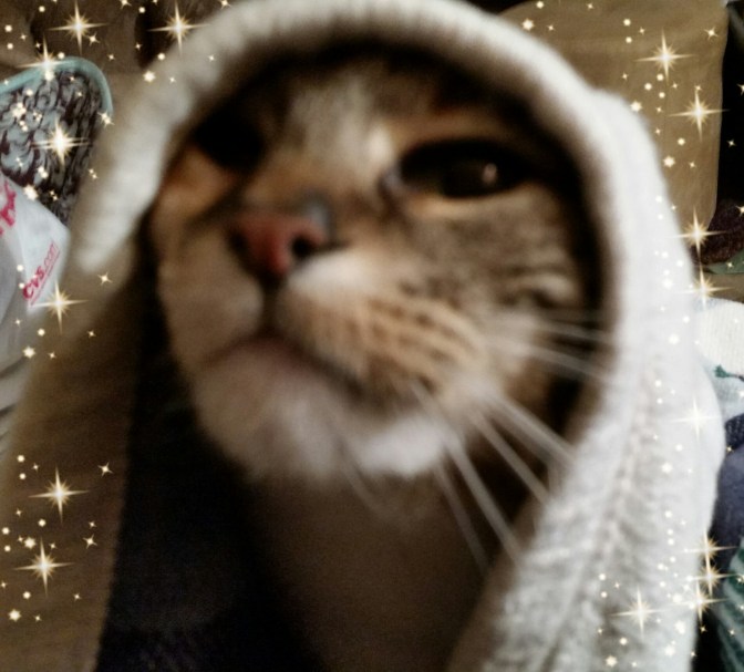 PicsArt_03-13-08.03.14