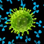 There Is a Virus in the White House