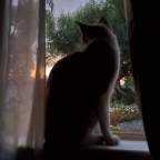 Maud Watches the Sunrise