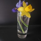 From This Place of Stillness