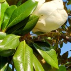 Waking Up from Waking Up