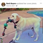 Celebrating You Always